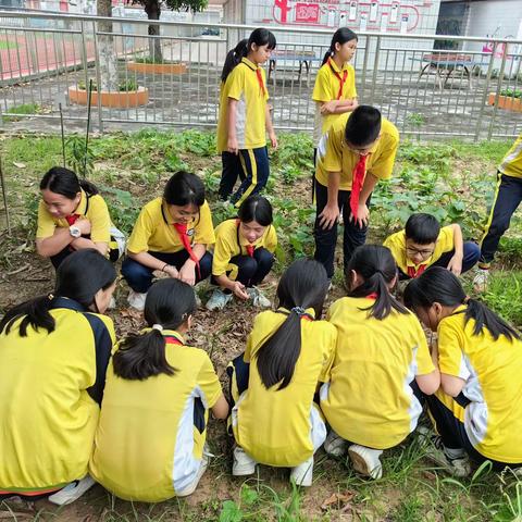 感受劳动之美，共享劳动快乐—莲塘镇中心小学六年级劳动实践活动