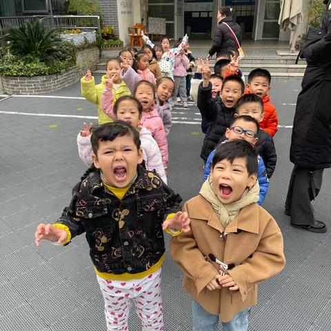 我和落叶的故事