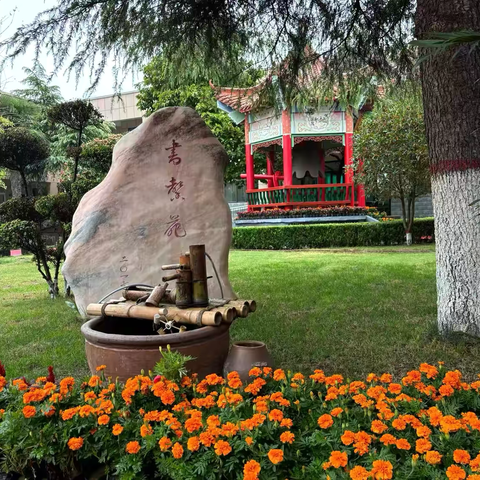 “深耕细研启新程 凝心聚力谱新篇”——义沟小学校本研修与教研活动纪实