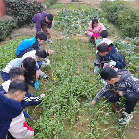 中原区教育系统丰富多彩的活动（十四)