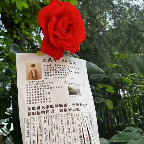 春日摘诗 墨香满园——郑州市中原区回民中学“4·23世界读书日”