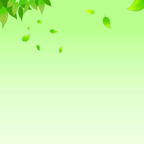 双拥共建添新绿 军民同育护乡情    ——长宁镇 2025年度义务植树活动