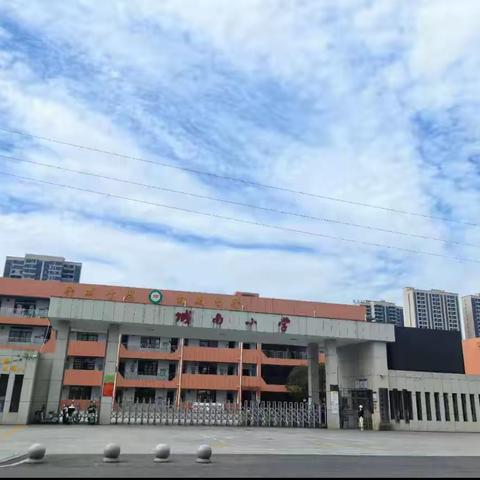 城南小学学校2024年下期绘画2班和3班汇报总结