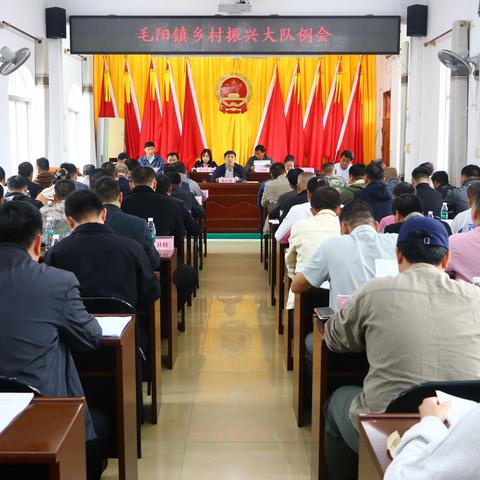 毛阳镇召开乡村振兴大队例会