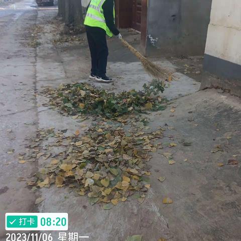 深秋寒雨落叶飘，环卫工人清扫忙