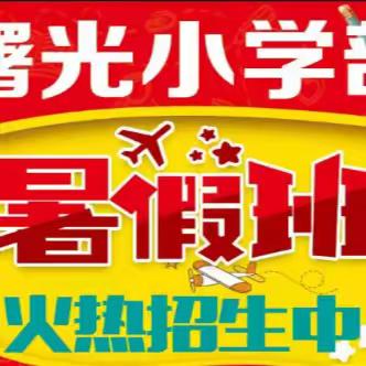 曙光托辅暑假班火热报名中……