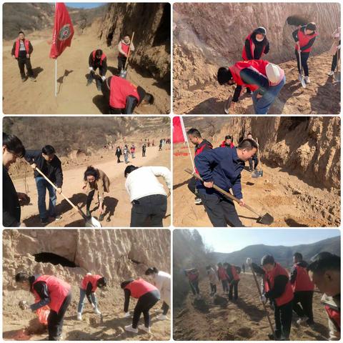 春风十里   正“植”有你—礼泉县医保局2024年植树节剪影