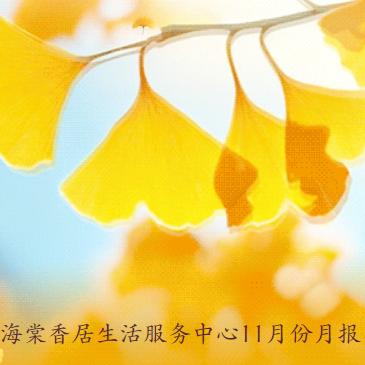 海棠香居生活服务中心11月份月报