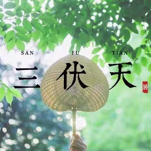 三伏艾灸||夏日养生秘法，温阳去寒强体魄！