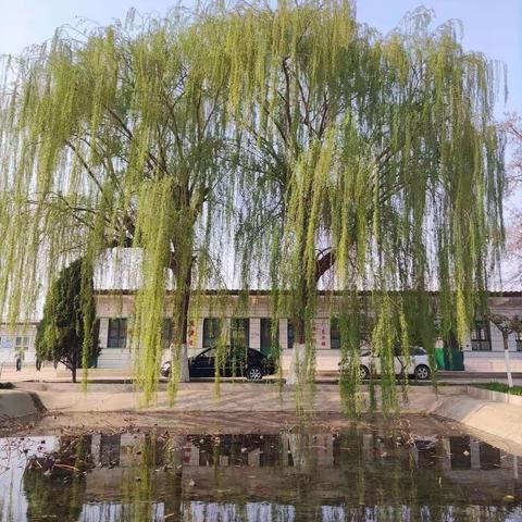 孙村中学4月读书月活动方案