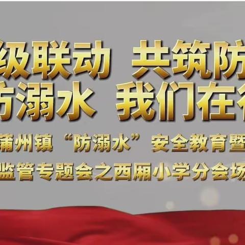 四级联动 共筑防线 预防溺水 我们在行动——蒲州镇“防溺水”安全教育暨安全监管专题会之西厢小学分会场