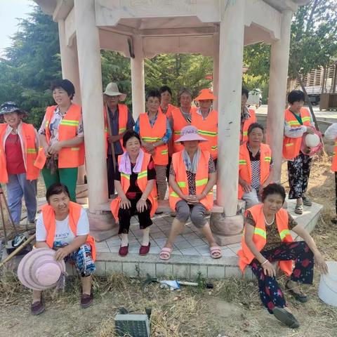 洛龙区科技园办事处加大力度持续开展农村人居环境集中整治工作！