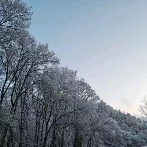 克勒沟镇大苇子沟村弘三区民宿——护林防火，人人有责