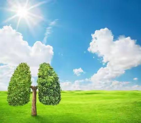 我们生活中的空气