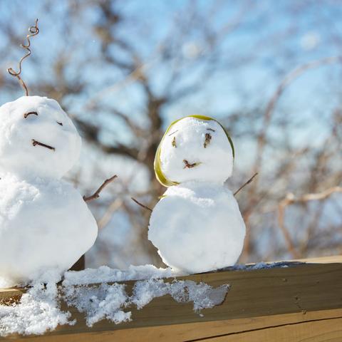 "幼"见初雪，邂逅童心——茄子河区中心幼儿园帅帅狗班