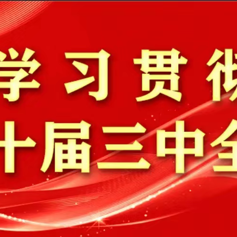 基层党的组织生活制度