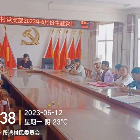 段湾村2023年6月10日主题党日“学习思想重调研 实干担当促发展