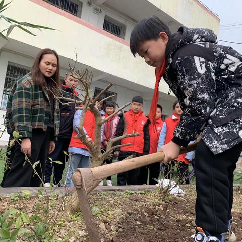 “植”此青绿，“树”写春天——青符小学植树节活动