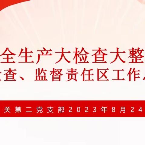 机关第二党支部组织召开“安全生产大检查大整顿工作总结”主题党日活动