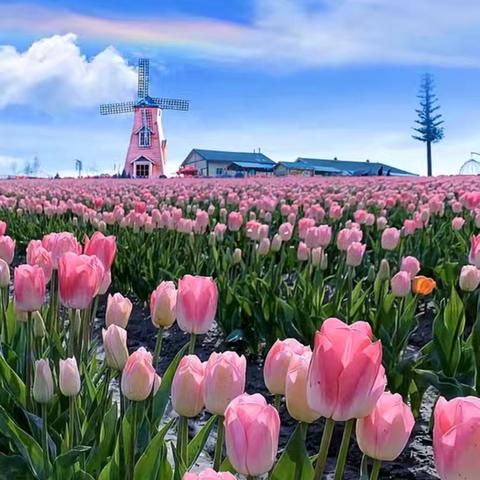 仲邦维行物业服务有限公司—启明星大厦