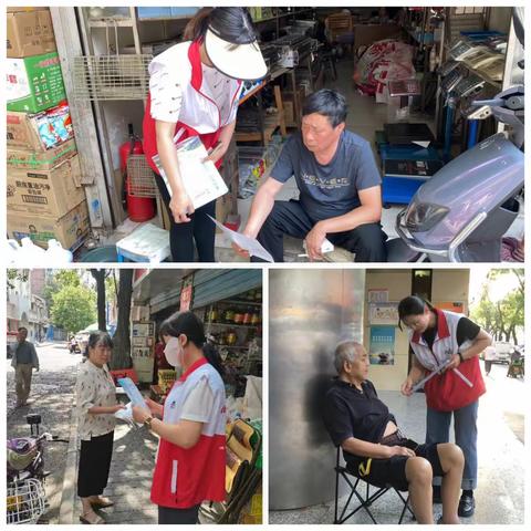 投放蟑鼠药    助力灭四害