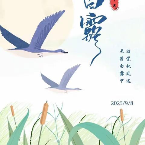 秋🍂风至，白露生——白官屯镇燕子河幼儿园二十四节气主题活动