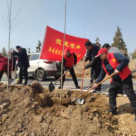 退役军人志愿者义务植树 共建美丽家园