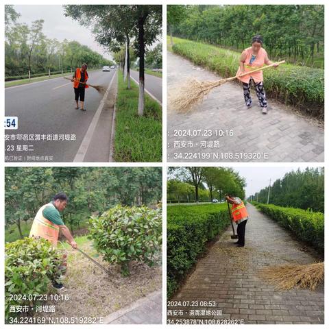 渭河鄠邑区段7月23日日常养护工作