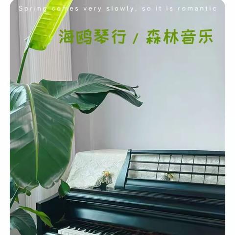 海鸥琴行丨招生开始啦！伴你成长，助你圆梦！