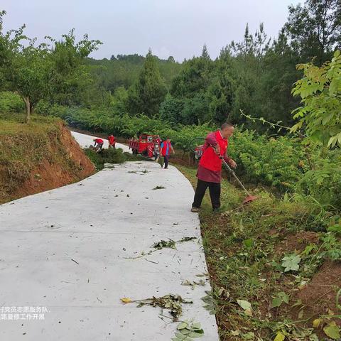 志愿服务我先行    义务修路暖人心———东溪镇五童村党支部开展我为群众办实事、公路夏修志愿活动（副