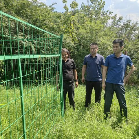 生态环境阎良分局开展农村饮用水源地环境风险隐患整治“回头看”