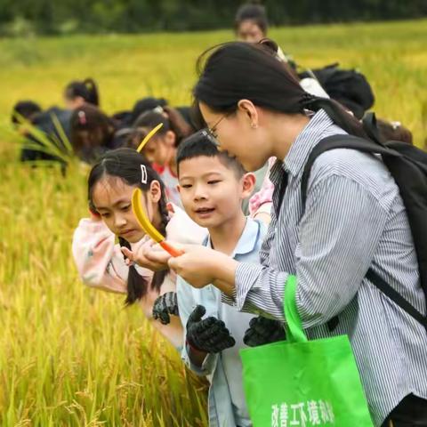 中班秋游邀请函