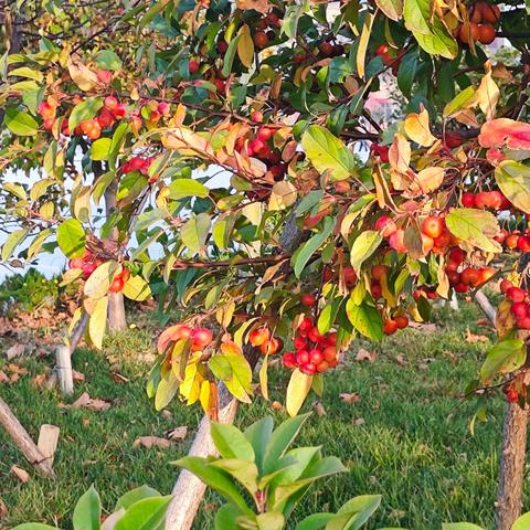 朱维娜同行时光心灵成长营四期（东营）招募中