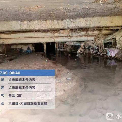筑牢防汛安全屏障 大田兴通生态开展台风前河道巡查清理