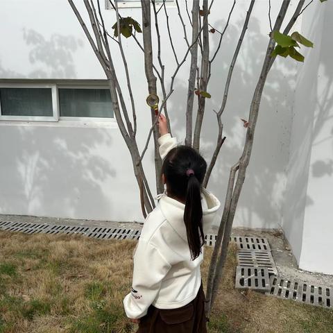 实幼·节气｜雨生百谷乐 悦探春之末——大班组谷雨节气活动