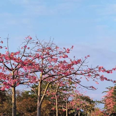 教与研携手 学与思并肩－2023至2024第一学年度期末总结