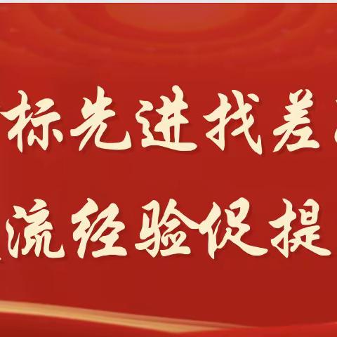 对标先进找差距 交流经验促提升——树屏镇组织镇村干部赴示范性乡镇观摩学习