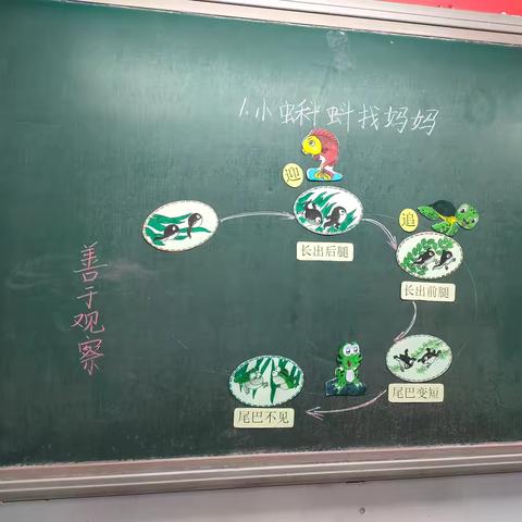 教研新视界﻿共筑教育梦-石康所有教师赴北京凯博学习