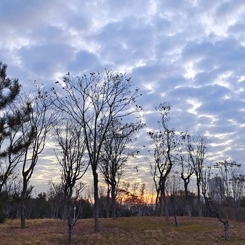 聚力健身，共绘美好—— 忻州市遗山公园站2025年精彩印记