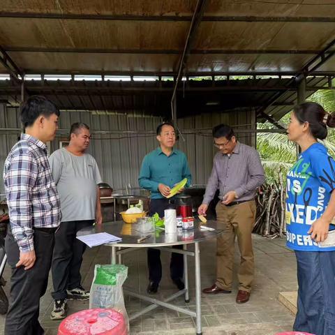 县委常委、县政府常务副县长陈扬洲到邦溪镇调研乡村振兴工作