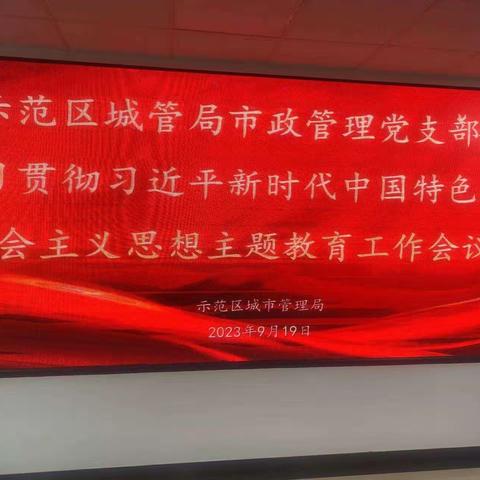 示范区城管局市政管理党支部学习贯彻习近平 新时代中国特色社会主义思想主题教育会议