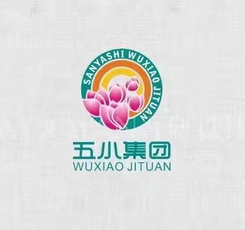 教以共发展，研以共进步——三亚市第五小学教育集团大单元集体备课教研活动