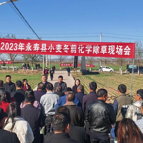永寿县：2023年小麦冬前化学除草现场会在古屯村召开