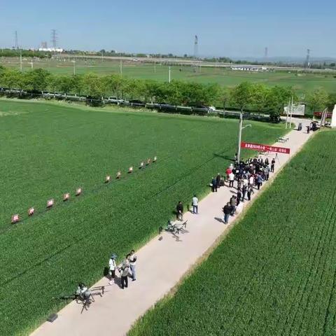 永寿县召开2024年“一喷三防”现场会