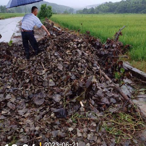 清理排水沟确保雨季排水畅通