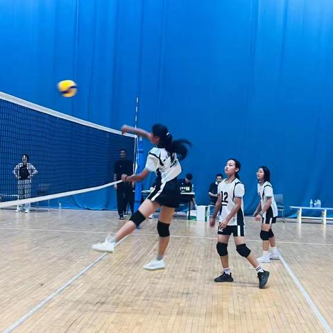 喜报!奎文区孙家小学女子排球队再夺潍坊市冠军！