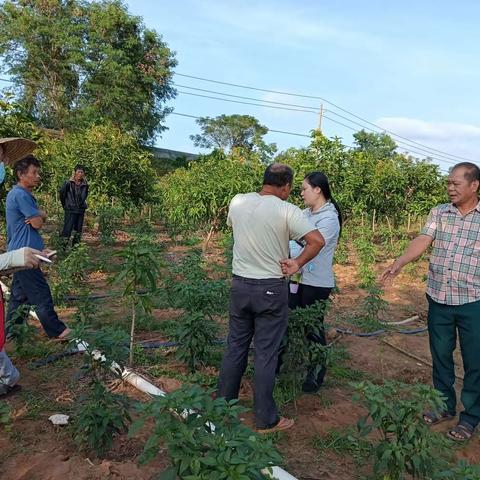 华侨经济区柴头队化解矛盾纠纷