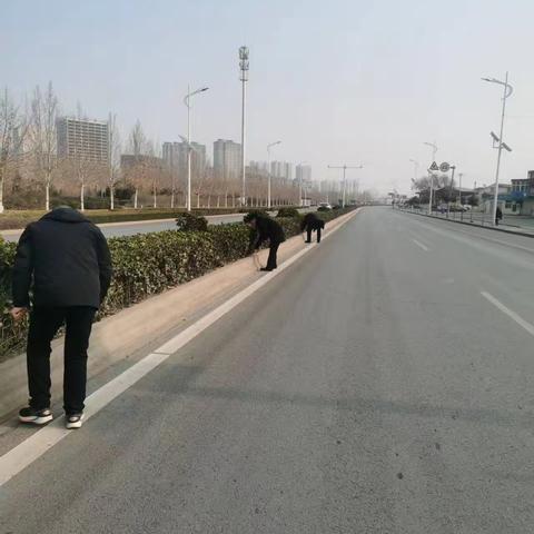 新春“清道夫”，守护乡镇“颜值”