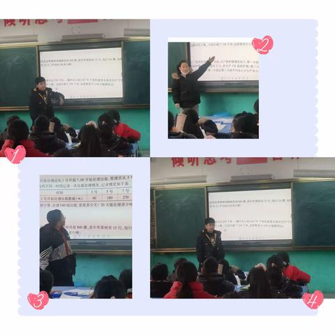 趣味数学社团展播—辅导教师张利霞张红梅