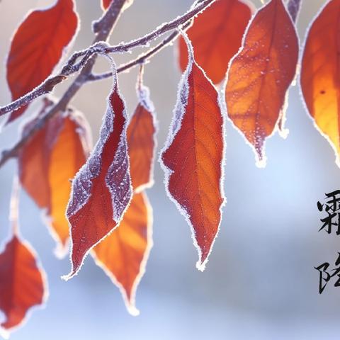 落“英”缤纷，“语”你共赏——雁西小学英语特色作业展示